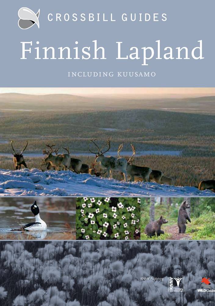 Finnish Lapland