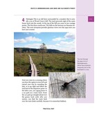 Finnish Lapland