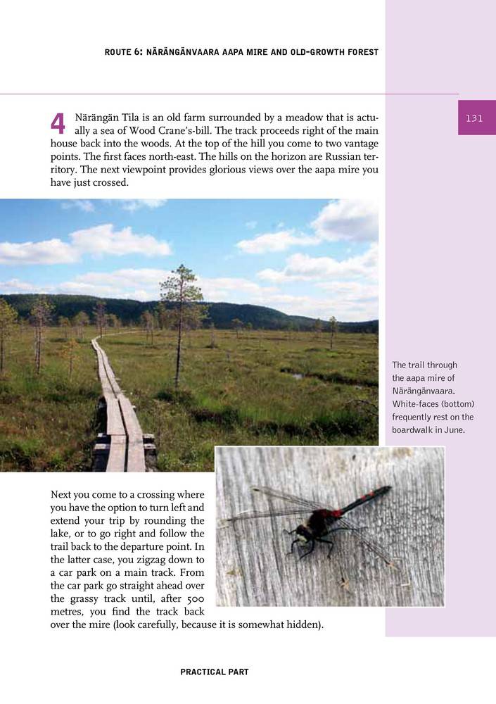 Finnish Lapland