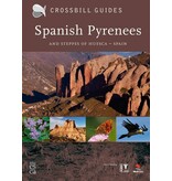 Spanish Pyrenees