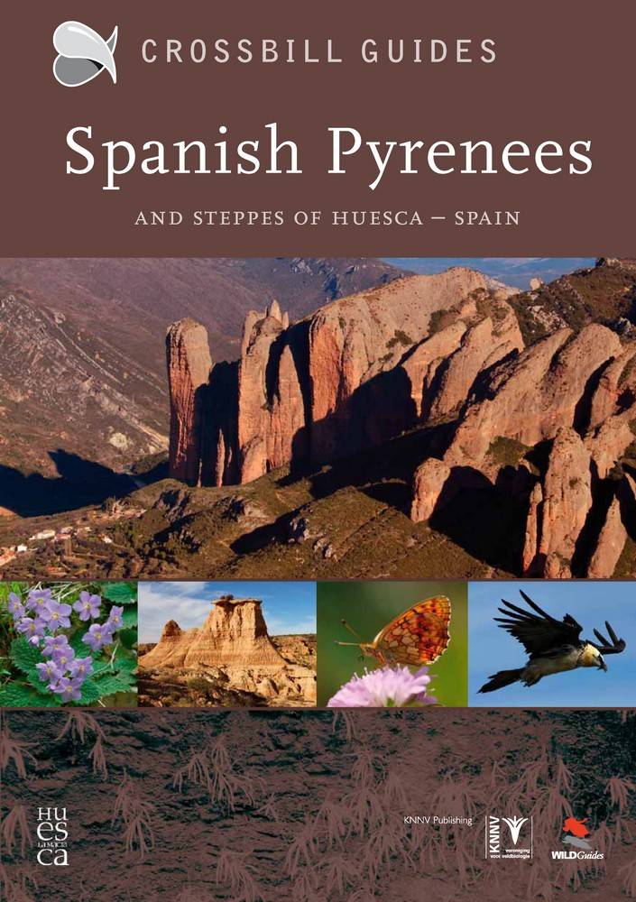 Spanish Pyrenees