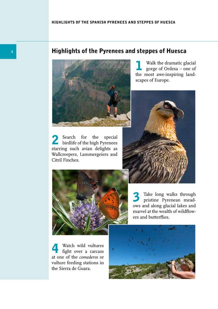 Spanish Pyrenees