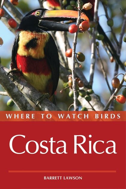 Where to watch birds in Costa Rica