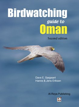 Birdwatching guide to Oman