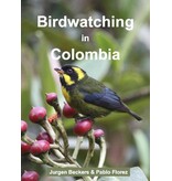 Birdwatching in Colombia