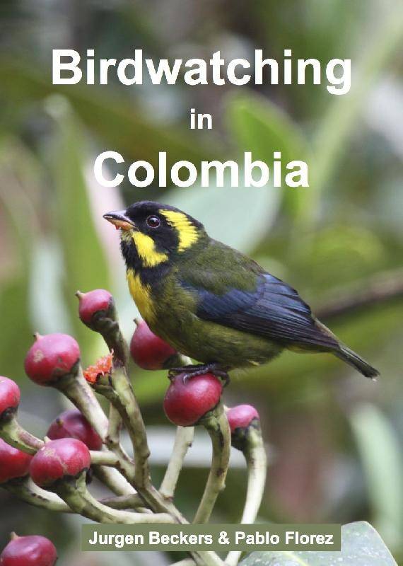 Birdwatching in Colombia
