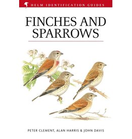 Finches and Sparrows
