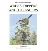 Wrens, Dippers and Thrashers