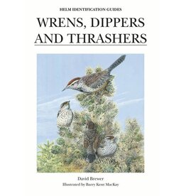 Wrens, Dippers and Thrashers