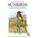 Sunbirds