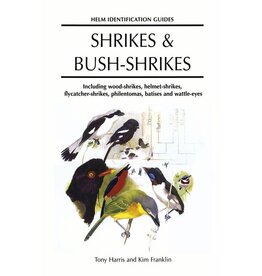 Shrikes and Bush-shrikes