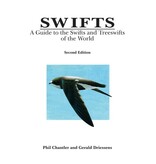 Swifts