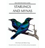 Starlings and Mynas