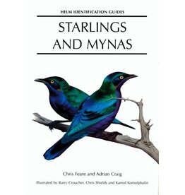 Starlings and Mynas
