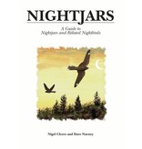 Nightjars