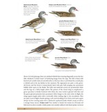 The Helm Guide to Bird Identification