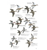 The Helm Guide to Bird Identification