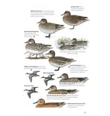 The Helm Guide to Bird Identification