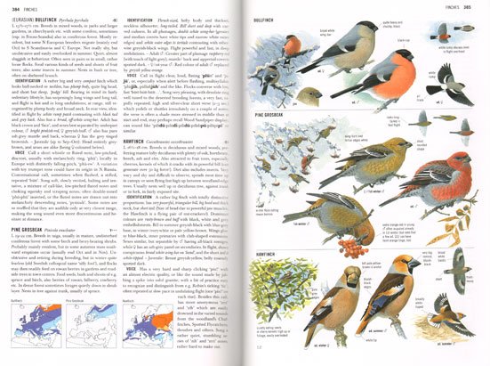 Collins Bird Guide - 2nd revised edition