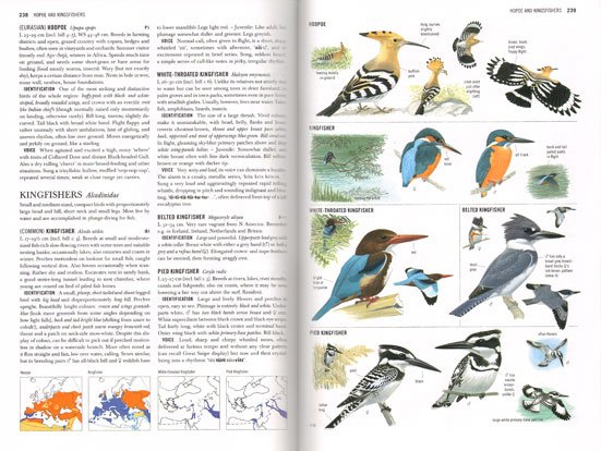 Collins Bird Guide - 2nd revised edition