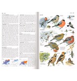 Collins Bird Guide - 2nd revised edition