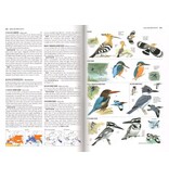 Collins Bird Guide - 2nd revised edition