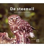 De steenuil