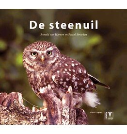 De steenuil