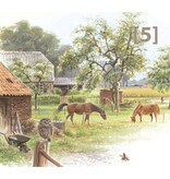 De steenuil