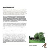 De steenuil