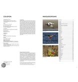 Handboek vogels van Nederland