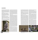 Handboek vogels van Nederland