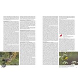 Handboek vogels van Nederland