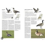 Handboek vogels van Nederland