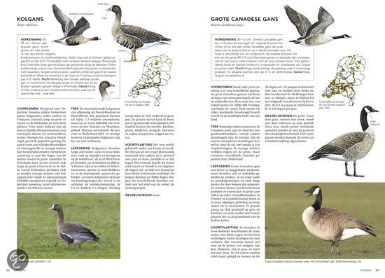Handboek vogels van Nederland