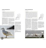 Handboek vogels van Nederland