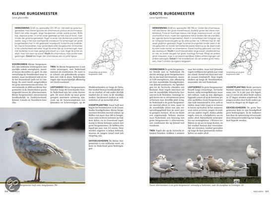 Handboek vogels van Nederland