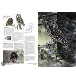 Handboek vogels van Nederland