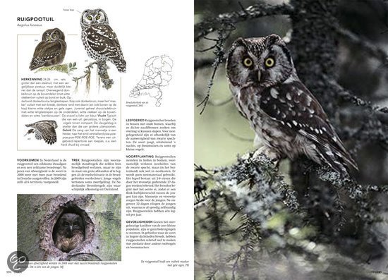 Handboek vogels van Nederland