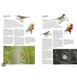 Handboek vogels van Nederland