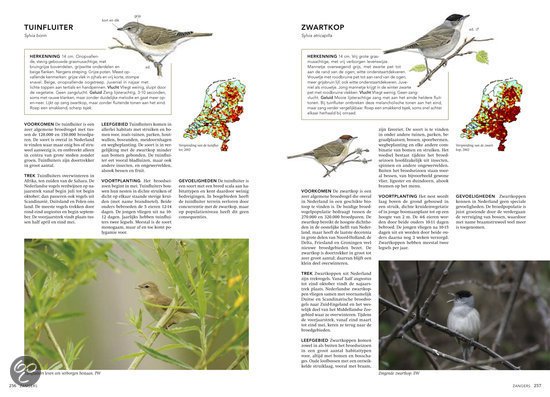 Handboek vogels van Nederland