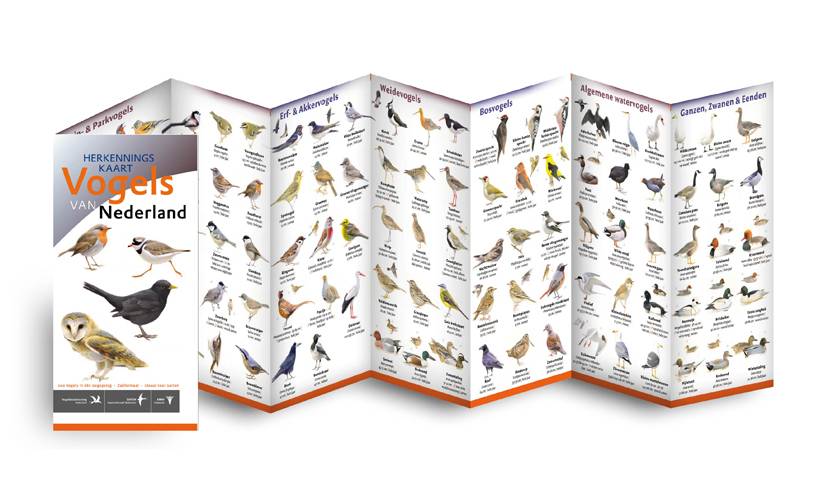 Herkenningskaart Vogels van Nederland
