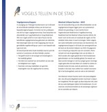 Stadsvogels in hun domein