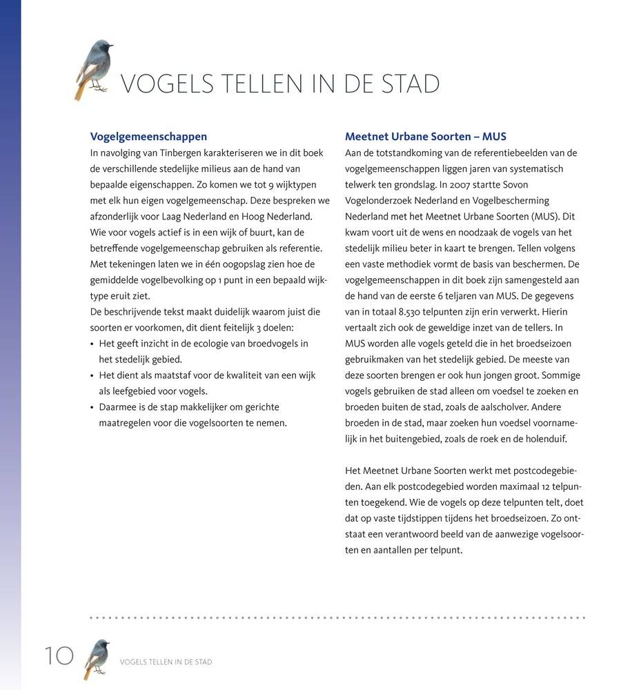Stadsvogels in hun domein
