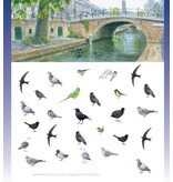 Stadsvogels in hun domein