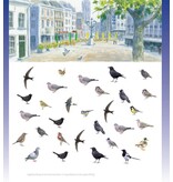 Stadsvogels in hun domein