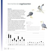 Stadsvogels in hun domein