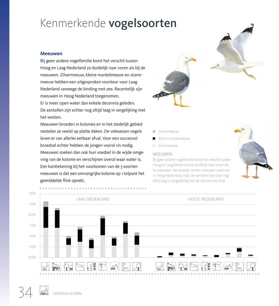 Stadsvogels in hun domein