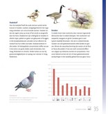 Stadsvogels in hun domein