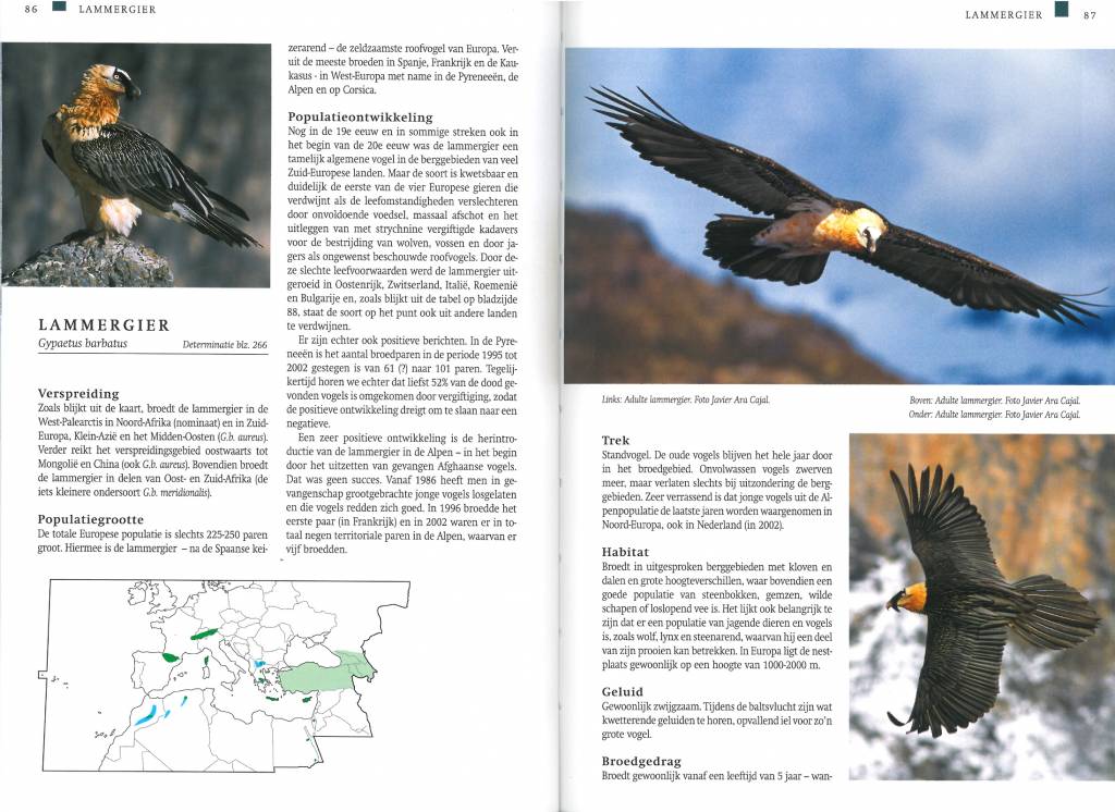 Veldgids roofvogels